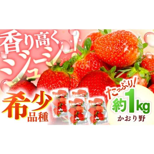 ふるさと納税 いちご 長崎県 - 香り高くジューシー 爽やかな甘さ いちご「かおり野」約1kg(約250g×4パック) 2027年2月〜発送 長崎県/株式会社 ふるさと企…