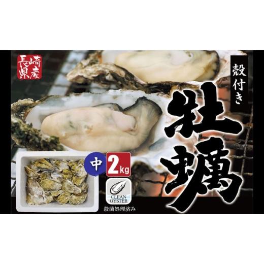 ふるさと納税 牡蠣 長崎県 - 加熱用 濃厚でミルキー 有明海育ちの瑞穂牡蠣 中サイズ(30g〜49g)2kg 長崎県/株式会社 ふるさと企画 42A