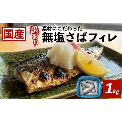 ふるさと納税 魚貝類 岩手県 大船渡市 国産 訳あり 無塩 さばフィレ 1kg 冷凍 三陸産 カマ無し 鯖 サバ 魚 魚介 海産物 加工品 惣菜 そうざい お惣菜 保存 保…