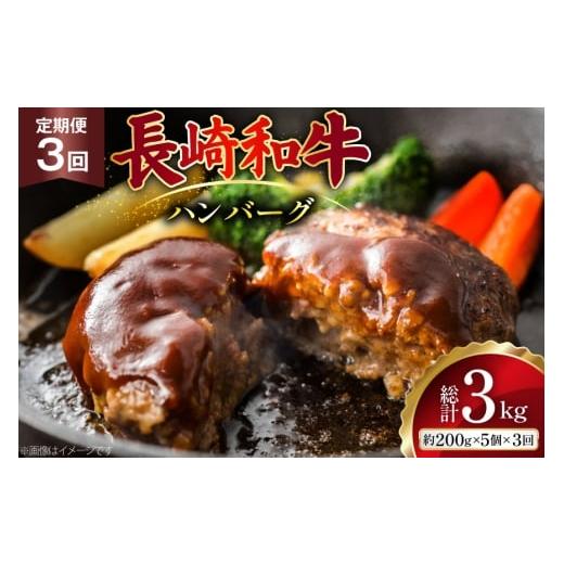 ふるさと納税 牛肉 ハンバーグ 長崎県 島原市 AJ586 3回定期便 長崎和牛 ハンバーグ 約1kg (200g×5個) 肉 牛肉 和牛 おいしい ひき肉 焼くだけ おかず まるし…