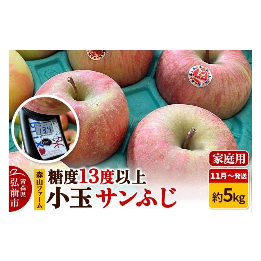 ふるさと納税 りんご 青森県 弘前市 26年11月〜発送 りんご サンふじ 家庭用 約5kg 小玉 糖度13度以上 森山ファーム 先行受付 家庭用 青森県 弘前市 果物 フ…