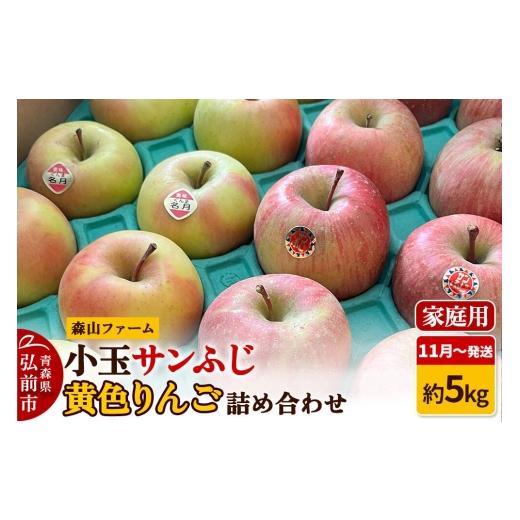 ふるさと納税 りんご 青森県 弘前市 26年11月〜発送 りんご サンふじ&黄色りんご 家庭用 約5kg 小玉 詰め合わせ 森山ファーム 先行受付 家庭用 青森県 弘前…