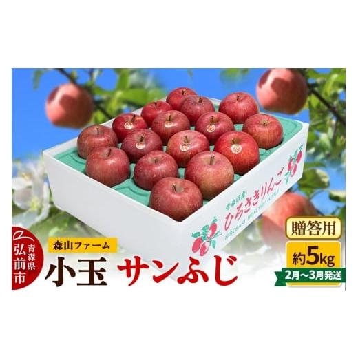 ふるさと納税 りんご 青森県 弘前市 寄附金額見直しました 26年2月〜発送 りんご サンふじ 贈答用 約5kg 小玉 森山ファーム サンふじ りんご 贈答 おもてなし…