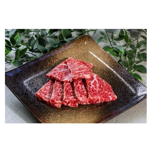 ふるさと納税 牛肉 サーロイン 静岡県 富士宮市 0015-110-01 富士山竹川牛 サーロインステーキ 165g×1枚 &amp; リブロース焼肉 195g