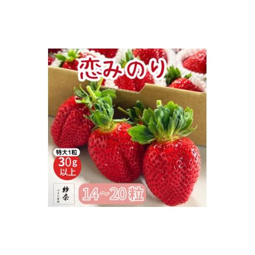ふるさと納税 いちご 徳島県 阿南市 先行受付[特大14〜20粒 ]紗奈〜はまだ農園 『恋みのり』大粒いちご 1粒30g以上 1601788