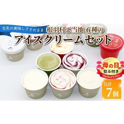 ふるさと納税 菓子 アイス 長野県 根羽村 母の日?熨斗対応 6種類のアイス堪能セット 7個入り 80ml 生ソフトクリーム バニラ りんご いちご ブルーベリー 西尾…