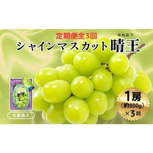 ふるさと納税 ぶどう マスカット 岡山県 鏡野町 定期便全3回 シャインマスカット晴王1房800g化粧箱入 3回コース 2026年発送 040-a012