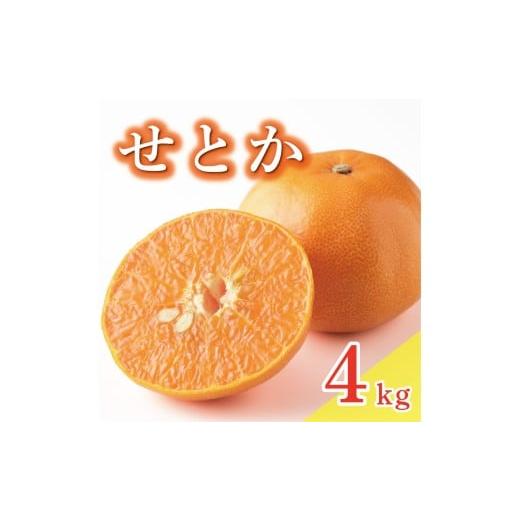 ふるさと納税 果物類 みかん 愛媛県 愛南町 せとか みかん 高級品種 農家直送 薄皮ごと食べられる/濃厚な甘み/果汁たっぷり 大玉3L以上 4kg8000円 清見 アン…