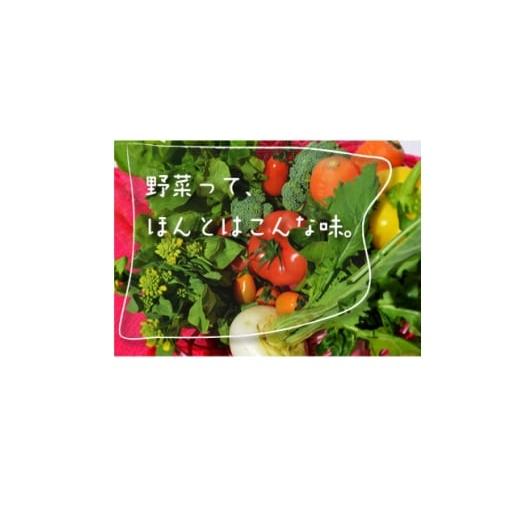 ふるさと納税 野菜類 千葉県 八千代市 千葉県八千代市 農産物直売所クラフト直送 旬の野菜セット 1700413