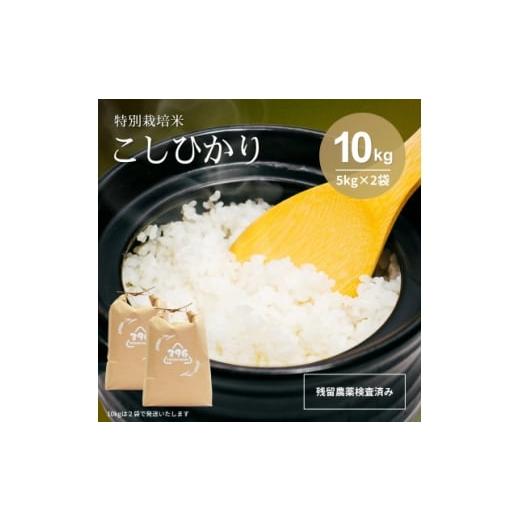 ふるさと納税 米 コシヒカリ 栃木県 佐野市 令和7年産 特別栽培米コシヒカリ 10kg(5kg×2袋) 1695258