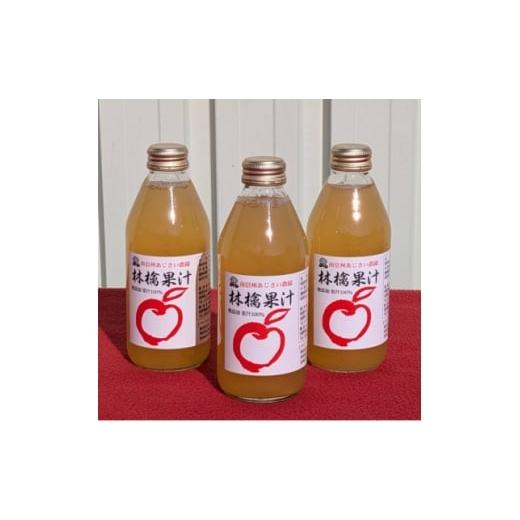 ふるさと納税 果汁飲料 りんご 長野県 飯島町 南信州あじさい農園 林檎果汁(無添加りんごジュース)250ml小瓶 6本入り 1715345