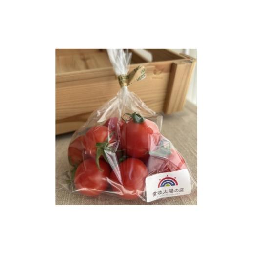 ふるさと納税 野菜類 トマト 茨城県 - フルーツトマト1kg 1706769