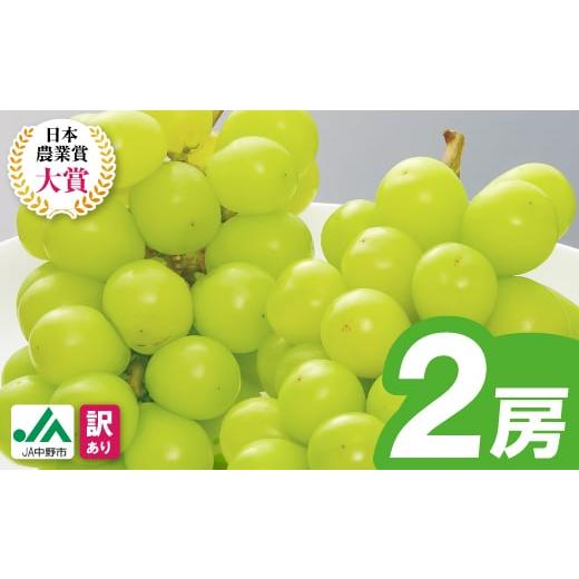 ふるさと納税 ぶどう 長野県 中野市 2026年発送 訳ありシャインマスカット2房1kg以上 JA中野市から産直 1716008