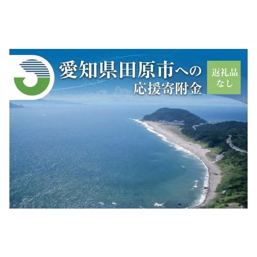 ふるさと納税 感謝状等 愛知県 田原市 [返礼品なし]愛知県田原市への寄付 応援寄附金 応援 選べる 金額 使い道 愛知県 田原市 渥美半島 2,000円