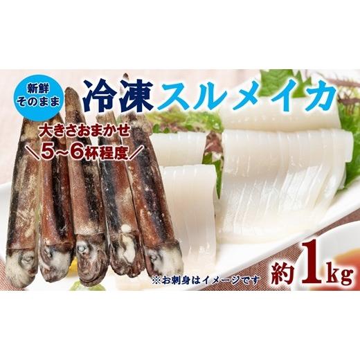 ふるさと納税 イカ 岩手県 普代村 三陸水産 冷凍スルメイカ 約1kg (5〜6杯程度) イカ 刺身 いかの塩辛 いかめし いかげそ イカ焼き フライ いかソーメン 新…