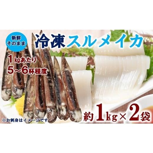 ふるさと納税 イカ 岩手県 普代村 三陸水産 冷凍スルメイカ 約2kg (約1kg×2袋) イカ 刺身 いかの塩辛 いかめし いかげそ イカ焼き フライ いかソーメン 新…