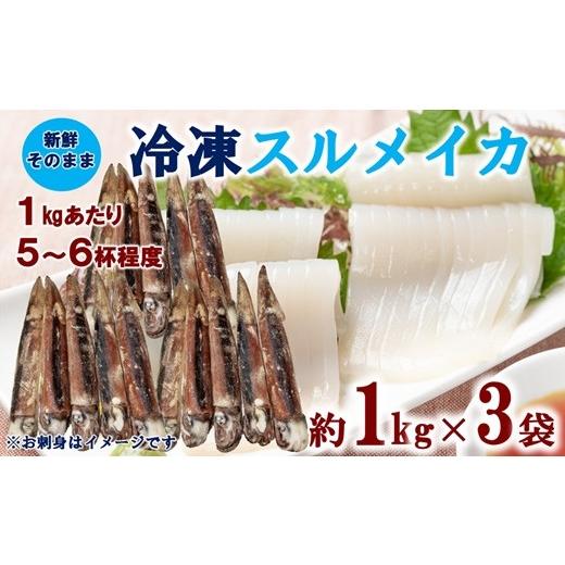 ふるさと納税 イカ 岩手県 普代村 三陸水産 冷凍スルメイカ 約3kg (約1kg×3袋) イカ 刺身 いかの塩辛 いかめし いかげそ イカ焼き フライ いかソーメン 新…