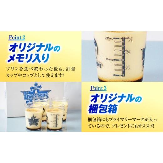 ふるさと納税 菓子 プリン 神奈川県 横須賀市  先行予約 2026年5月15日より順次お届け 数量限定500セット 横浜DeNAベイスターズパッケージ 北海道フレッシュク… |  | 04
