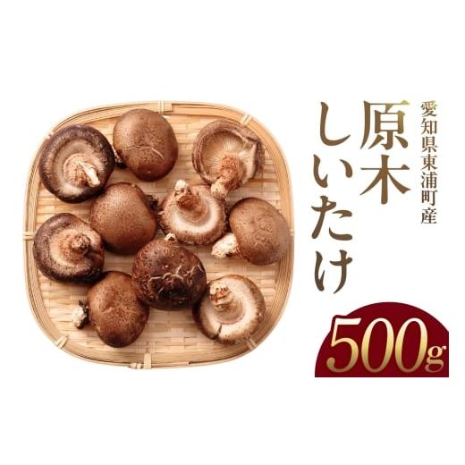 ふるさと納税 野菜類 きのこ 愛知県 東浦町 先行予約:26年10月〜発送 東浦町産 原木栽培生しいたけ(約500g)│椎茸 原木栽培 生 国産 愛知県 500g 寄附金額…