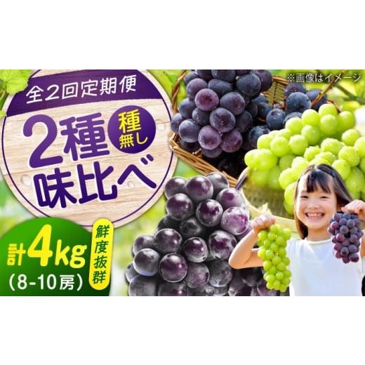 ふるさと納税 ぶどう マスカット 広島県 福山市 全2回定期便 ピオーネ マスカット 各2kg(計2種)沼隈ぶどう定期便 広島県福山市/福山市農業協同組合 沼隈グ…
