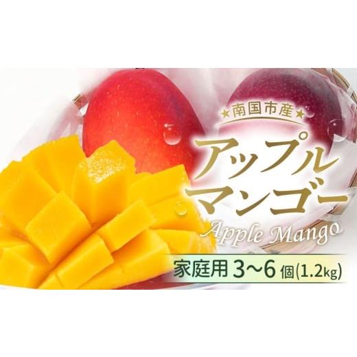ふるさと納税 マンゴー 高知県 南国市 家庭用アップルマンゴー 1.2kg(2026年6月〜発送)| 高知県産 マンゴー アップルマンゴー フルーツ 果物 厳選 人気 デザ…