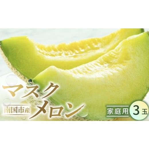 ふるさと納税 メロン メロン青肉 高知県 南国市 家庭用 メロン 3玉 | マスクメロン 3個 フルーツ 果物 厳選 高級 青肉メロン 人気 デザート ギフト プレゼント…