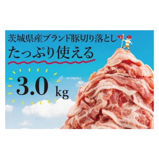 ふるさと納税 豚肉 茨城県 水戸市 数量限定 リピーター続出 茨城県産ブランド豚切り落とし3kg (300g×10p) 肉 豚肉 切り落とし 小分け 真空 真空パック 茨城…