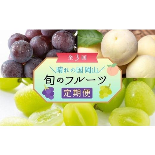 ふるさと納税 もも 岡山県 鏡野町 定期便3回 岡山白桃、シャインマスカット晴王、ぼっけぇピオーネの3回コース 040-a014