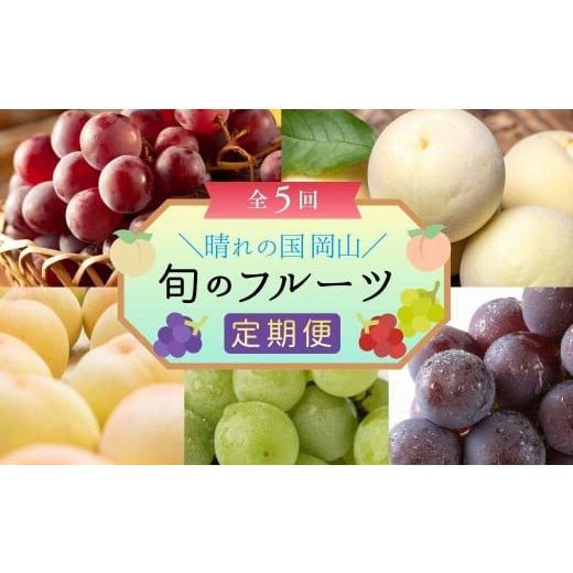 ふるさと納税 もも 岡山県 鏡野町 定期便5回 岡山白桃、シャインマスカット晴王、ブラックシャインマスカット、ぼっけぇピオーネ、冬桃がたりの5回コース 040…