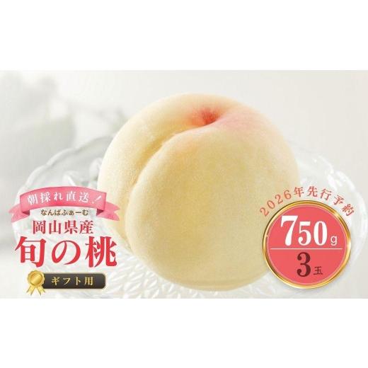 ふるさと納税 もも 岡山県 鏡野町 数量限定 [なんばふぁーむ]岡山県産 旬の桃 750kg(3玉) ギフト用 2026年発送 039-a012 750g(3玉)