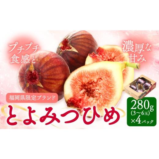 ふるさと納税 いちじく 福岡県 小竹町 いちじく 無花果 とよみつひめ 280g×4パック [8月中旬-10月中旬頃出荷]福岡県 小竹町 福岡県産 いちじく フルーツ 果…