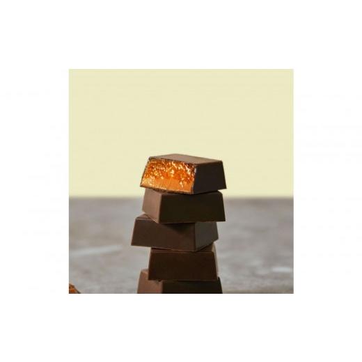 ふるさと納税 菓子 チョコレート 神奈川県 鎌倉市 BANK BonBon パインココナッツ