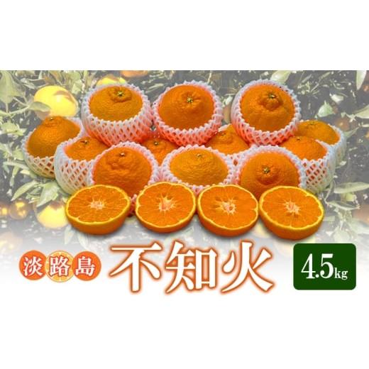ふるさと納税 みかん・柑橘類 兵庫県 洲本市 不知火 4.5Kg | 果物 フルーツ 旬 柑橘 兵庫県 洲本市 淡路島  