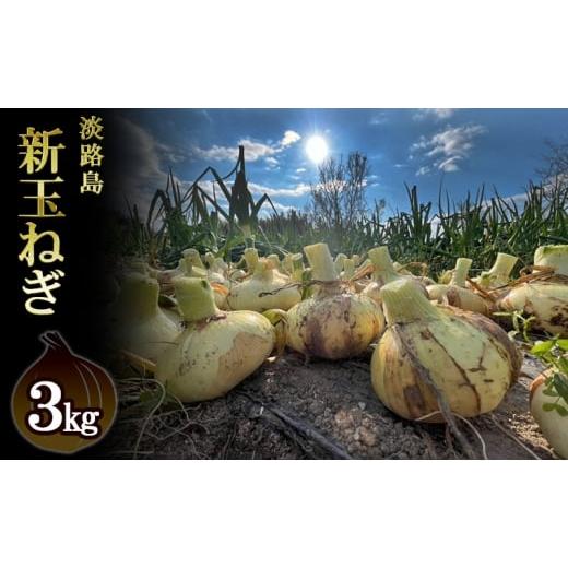 ふるさと納税 野菜類 玉ねぎ 兵庫県 洲本市 栽培期間中農薬不使用の淡路島新玉ねぎ3kg 新玉ねぎ 玉ねぎ タマネギ 野菜 旬の野菜 季節の野菜 兵庫県 洲本市 淡…