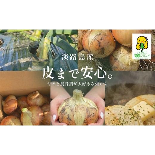 ふるさと納税 野菜類 玉ねぎ 兵庫県 洲本市 淡路島産「皮まで安心。」玉ねぎ5kg 兵庫県 洲本市 淡路島  