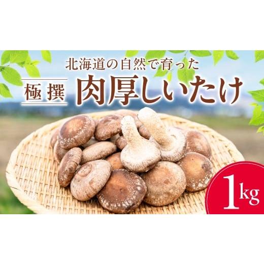 ふるさと納税 野菜類 きのこ 北海道 北斗市 北海道の自然で育った極撰肉厚しいたけ1kg ふるさと納税 人気 おすすめ ランキング 肉厚しいたけ 生しいたけ しい…