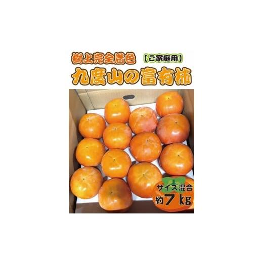 ふるさと納税 果物類 柿 和歌山県 九度山町 先行予約 樹上完全着色「九度山の富有柿」 訳あり 約7kg 2026年11月中旬頃から発送予定