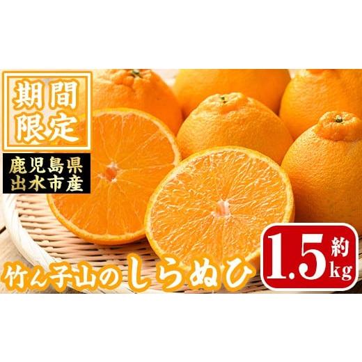 ふるさと納税 みかん・柑橘類 鹿児島県 出水市 i1339 数量・期間限定 いずみ産 竹ん子山のしらぬひ(約1.5kg) 鹿児島 国産 九州産 しらぬい 不知火 柑橘 くだも…