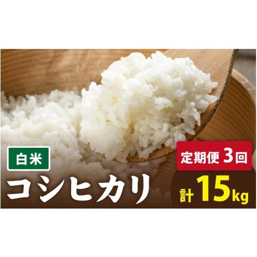 ふるさと納税 米 コシヒカリ 福井県 南越前町 先行予約 3ヶ月連続お届け 令和8年産 新米 有機JAS認証 オーガニックコシヒカリ 白米 5kg×1袋×3ヶ月(計15kg…