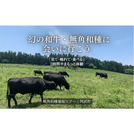 ふるさと納税 宿泊券 山口県 阿武町 幻の和牛、無角和種に会いにいこう 「見て・触れて・食べる」を2時間半でまるっと体験 無角和種堪能ツアー 体験チケット2…