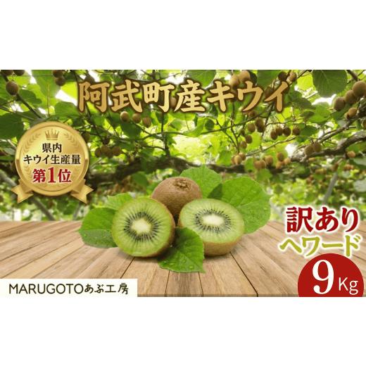 ふるさと納税 果物類 山口県 阿武町 先行予約 訳あり キウイ ヘイワード 9kg 山口県阿武町産 家庭用 大容量 数量限定 国産 果物