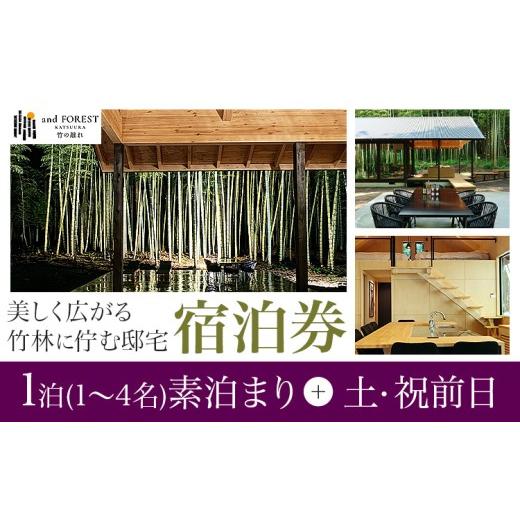 ふるさと納税 宿泊券 ペンション・コテージ 千葉県 勝浦市 and FOREST勝浦 竹の離れ 宿泊券 1~4名 1泊 素泊まり 土・祝前日 株式会社タスマニアンプロジェクト…