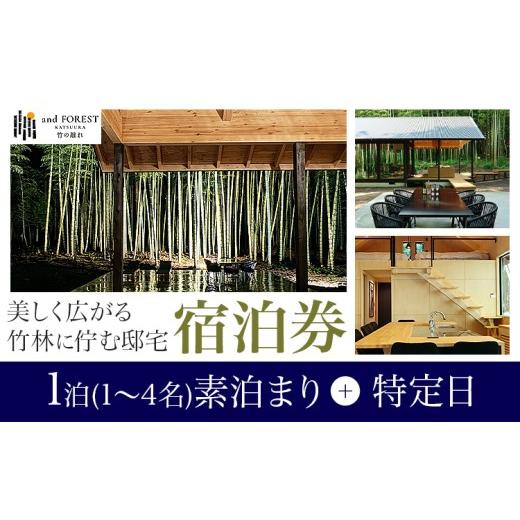 ふるさと納税 宿泊券 ペンション・コテージ 千葉県 勝浦市 and FOREST勝浦 竹の離れ 宿泊券 1~4名 1泊 素泊まり 特定日 株式会社タスマニアンプロジェクト[30…