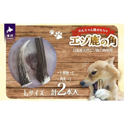 ふるさと納税 雑貨・日用品 玩具 北海道 浦河町 エゾ鹿の角 Lサイズ1本物と角先のセット