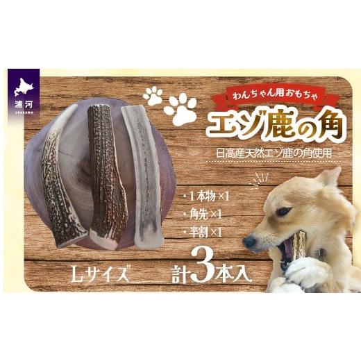 ふるさと納税 雑貨・日用品 玩具 北海道 浦河町 エゾ鹿の角 Lサイズよくばりセット(1本物・角先・半割)