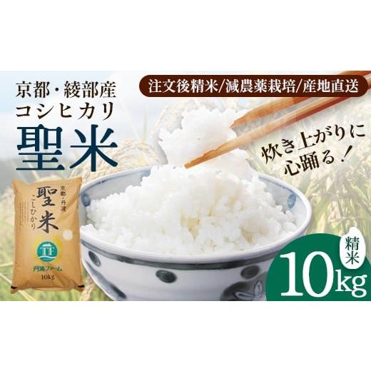 ふるさと納税 米 コシヒカリ 京都府 綾部市 令和7年産 京都府産コシヒカリ 「聖米」 白米 10kg お米 米 白米 精米 こしひかり ごはん ご飯 ふっくら もちもち …