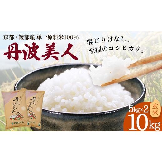 ふるさと納税 玄米 京都府 綾部市 京都府産 「丹波美人」 玄米 10kg(5kg×2) | 米 お米 玄米 ごはん おこめ 国産 10キロ 京都府 綾部市 玄米 10kg(5kg×2)…