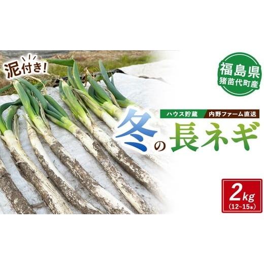 ふるさと納税 野菜類 ねぎ 福島県 猪苗代町 数量限定 生活応援価格 磐梯山の麓からお届け ハウス貯蔵 冬の長ネギ 2kg(12〜15本) 泥つき 農家直送 | 内野フ…