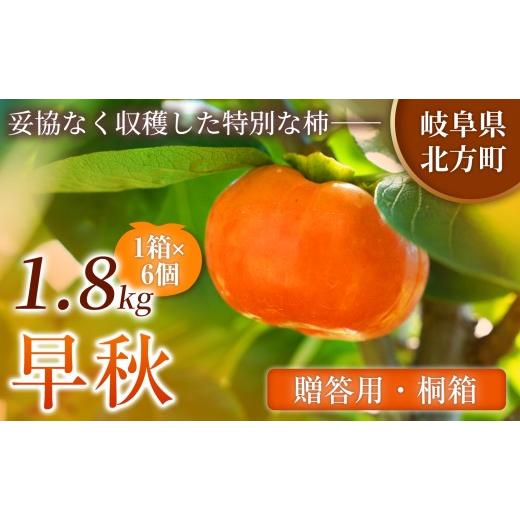 ふるさと納税 果物類 柿 岐阜県 北方町 贈答用・桐箱 早秋 柿 ( 6個 / 1.8kg ) 1箱 先行予約 令和8年10月中旬順次発送 | 知る人ぞ知る希少柿 軽やかな歯ごた…