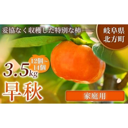 ふるさと納税 果物類 柿 岐阜県 北方町 家庭用 早秋 柿 12〜14個/3.5kg ( 1箱 ) 先行予約 令和8年10月中旬順次発送 | 希少柿を贅沢に楽しむ 柿 早秋 フルー…